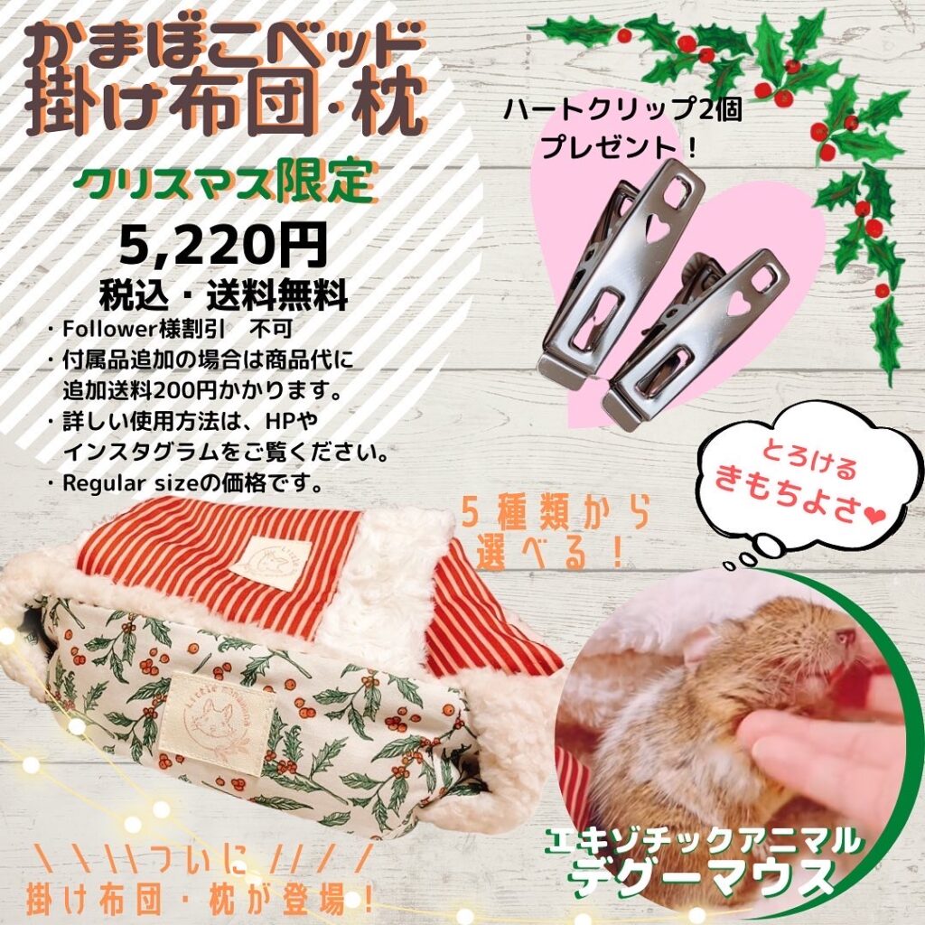 どなたでもご購入OK!☆ランダム販売☆かまぼこベッドRegularNo.080